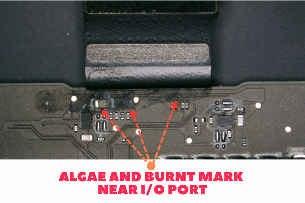 MacBook Pro Water Spillage: Expert Steps to Save Your Mac! 3 Algae and burnt mark near I/O port